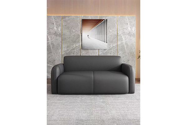 Nordic Modern Simple Small Apartment Sofa